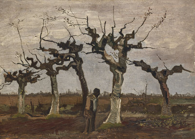 Vincent van Gogh, Knotberken, april 1884. Olieverf op doek (op paneel), 43 x 58 cm, particuliere collectie